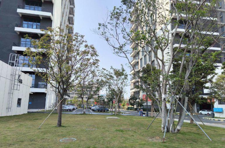 塘厦原房东一二楼各2000平精装修厂房仓库大小分租，水电齐全