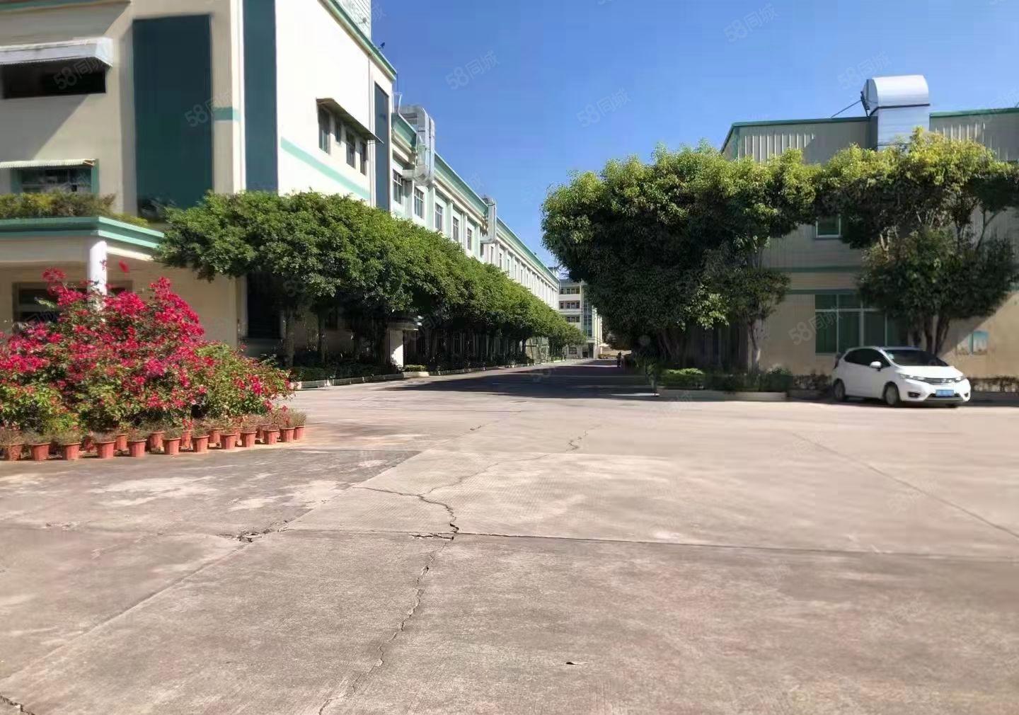 塘厦镇168工业区新出独院厂房22000平方