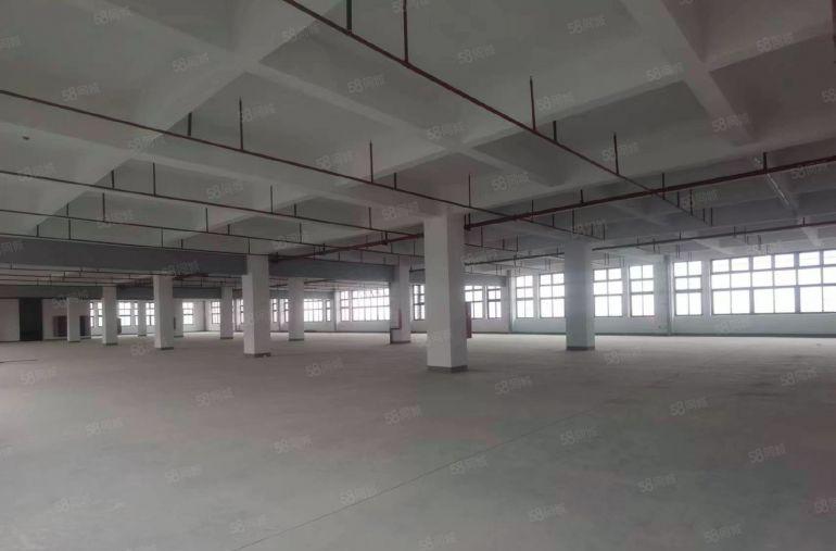 塘厦高速口科苑城新出原房东楼上一整层3000平厂房仓库出租