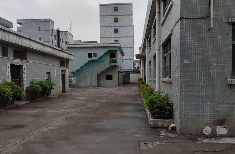 原房东独门独院厂房||塘厦大坪工业区8米高独院3000平方租