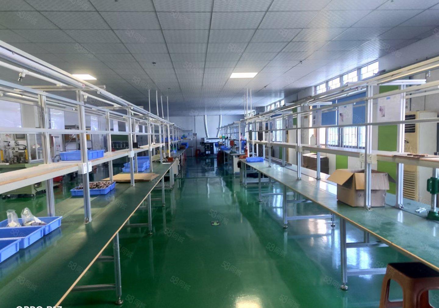 塘厦科苑城工业区原房东楼上1600平方红本标准仓库厂房出租可