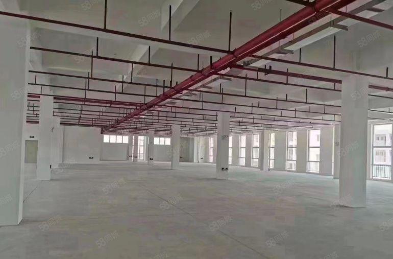 塘厦龙背岭标准厂房2580，形象好，位置佳，证件齐全空地大