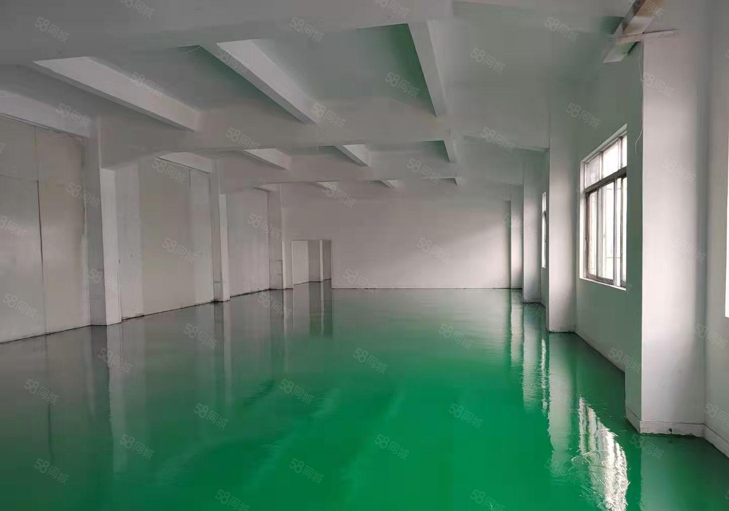 东莞塘厦新出楼上标准厂房1300平方