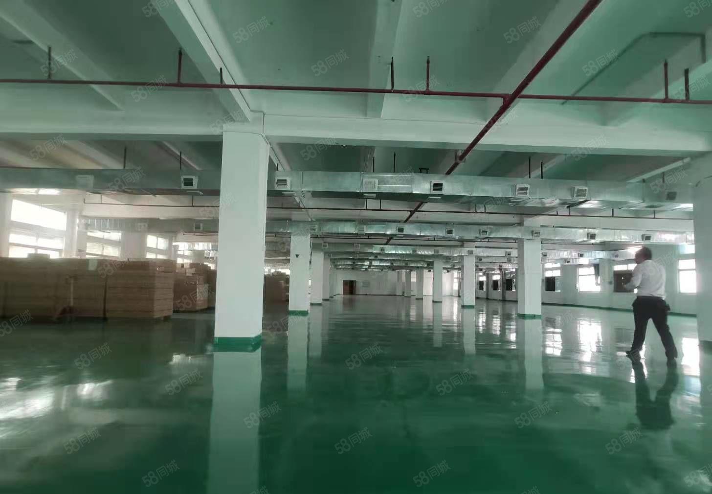 塘厦密集工业区原房东自用厂房分租三楼豪华装修水电到车间现房