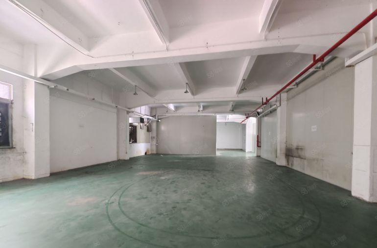 塘厦大坪高速出口科苑城19.9的层高4.8米一楼900平方