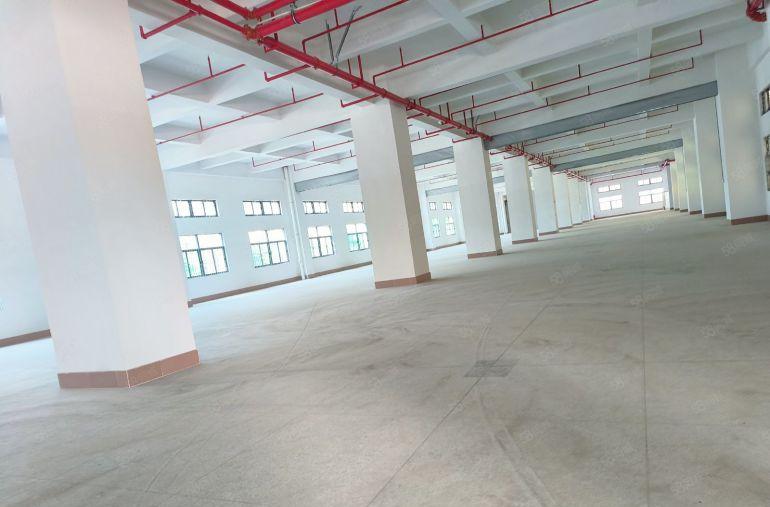 塘厦林村1000平到54000平厂房仓库出租原房东0公摊红本