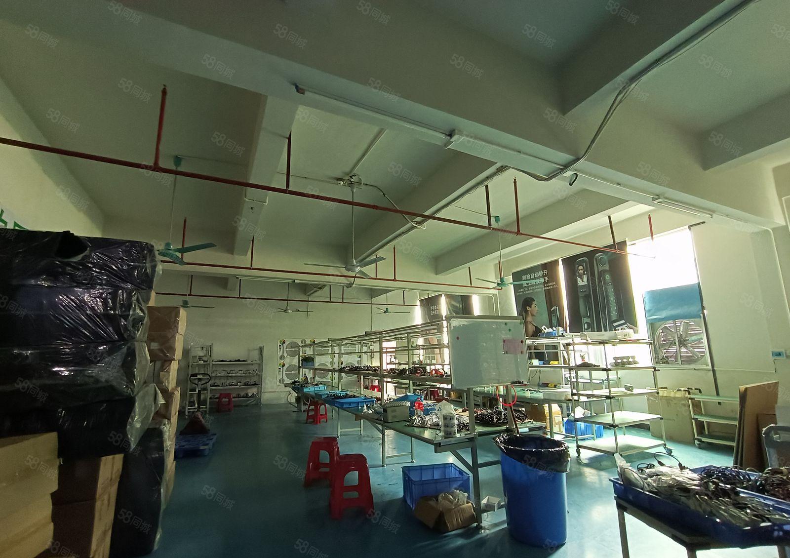 塘厦石鼓新出楼上500平带装修，现成办公室，可低价甩