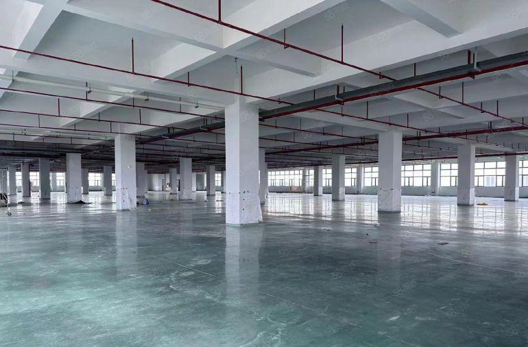 新出塘厦清湖头全新红本厂房7万平方招租，原房东，新装修