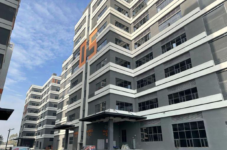 开发商红本面积直租，半年免租期，12元单层2000起厂房出租