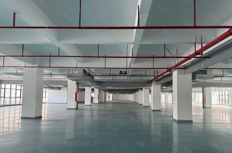 电商物流仓库！塘厦沙湖一房东楼上6000平零公摊厂房出租