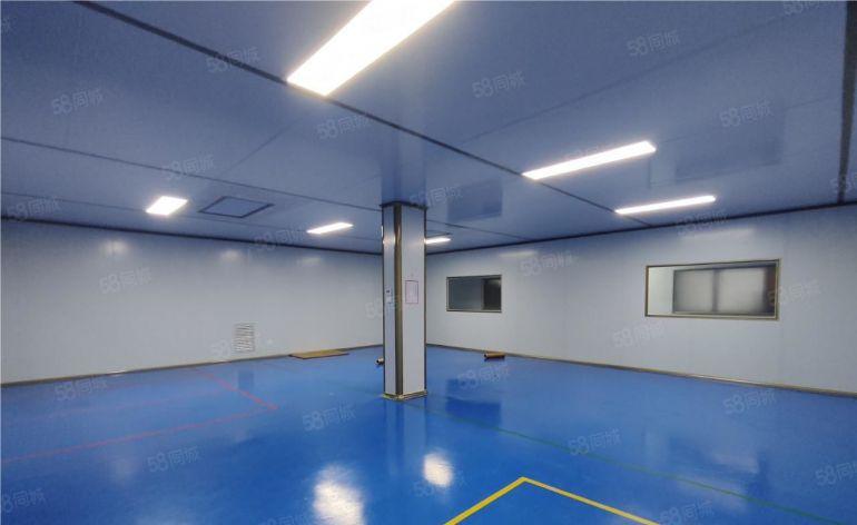 塘厦新空全新医用千级无尘车间，精装修无转让费低价出租空地大