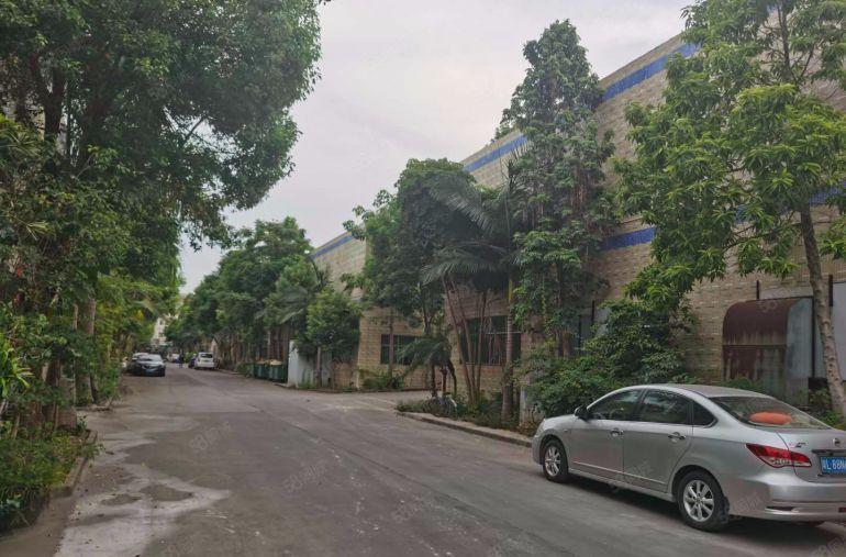 16元起租塘厦石鼓独门独院2000平单一层钢构厂房出租可分租