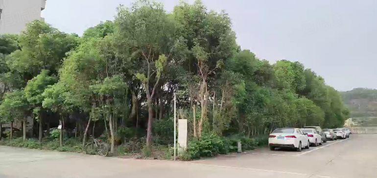 0公摊原房东厂房出租1100平起租园区形象非常好交通便利