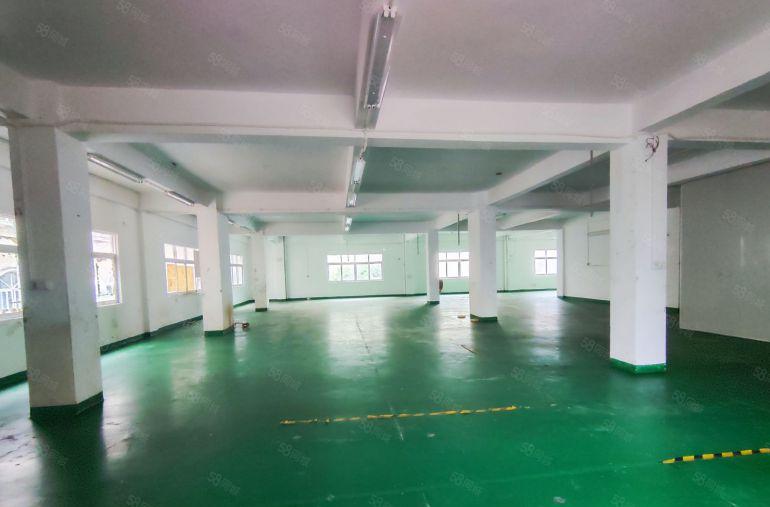 塘厦原房东新出独院两层厂房带现成办公室适合钣金注塑五金设备等