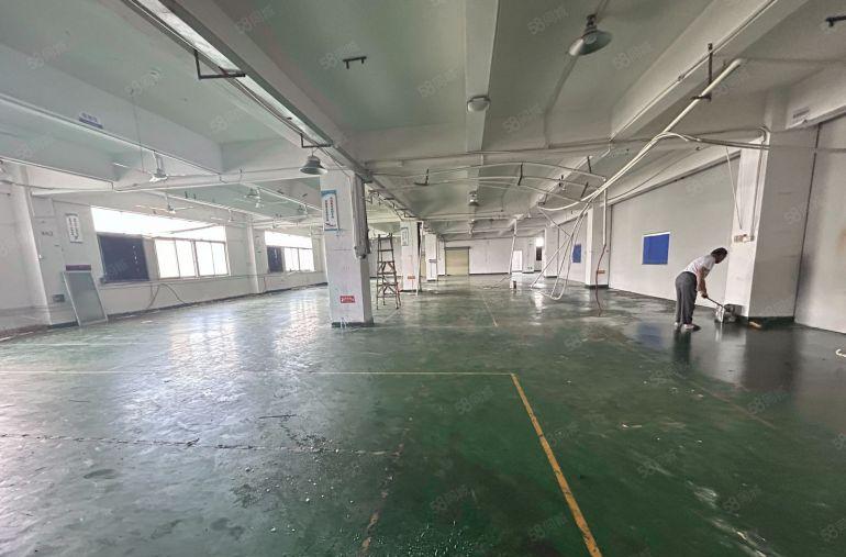 塘厦平山标准厂房1280平可分租，隔好办公室精装修，零公摊