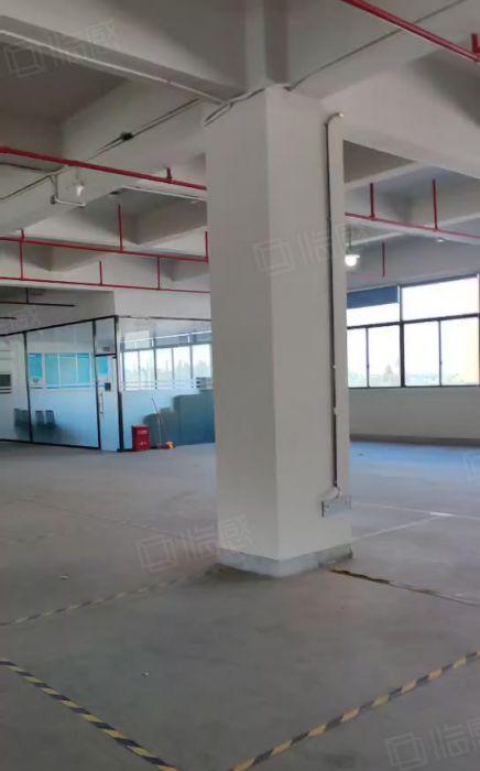 12元塘厦高速口精装修红本厂房出租，全新地坪漆水电全 可分租