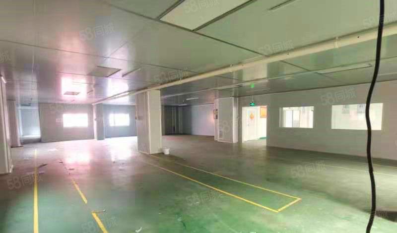 特价特价 15元每平！塘厦科苑城新出1450平 带洁净车间