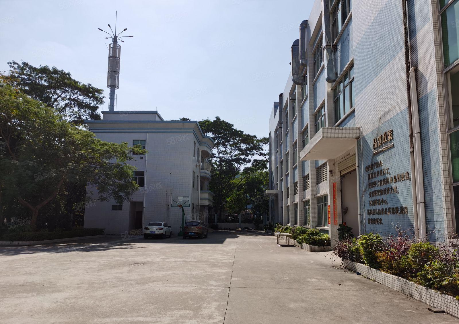 厂房出租  科苑城原房东独院厂房9857平米