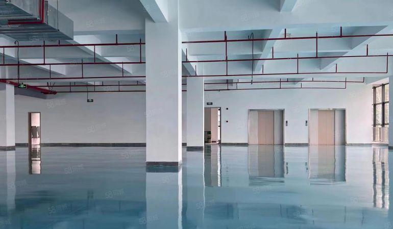 500平起10块单层5000平一房东独院8万平厂房仓库出租