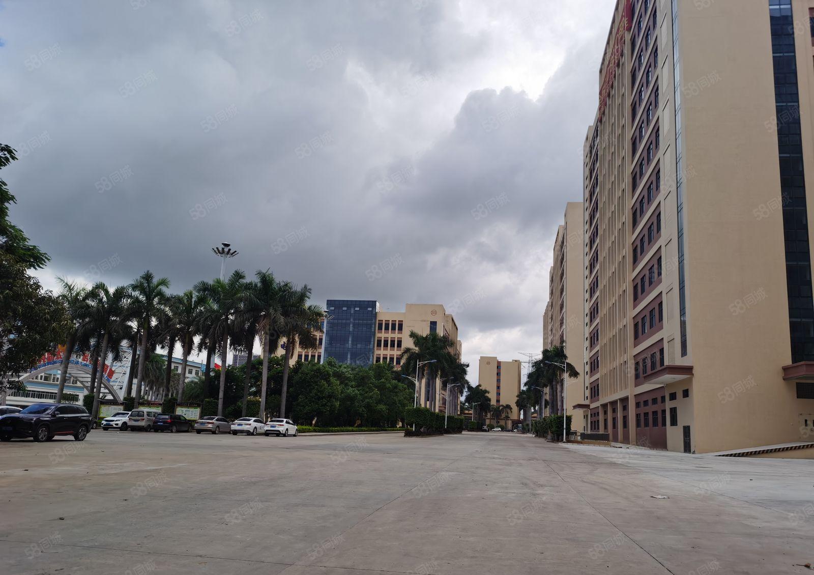 厂房出租  16.8元高端全新红本厂房25万平米招租中