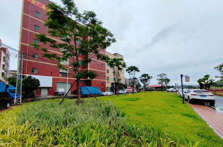 凤凰岗社区花园式厂房靓盘出租厂房500平，四面采光大货梯