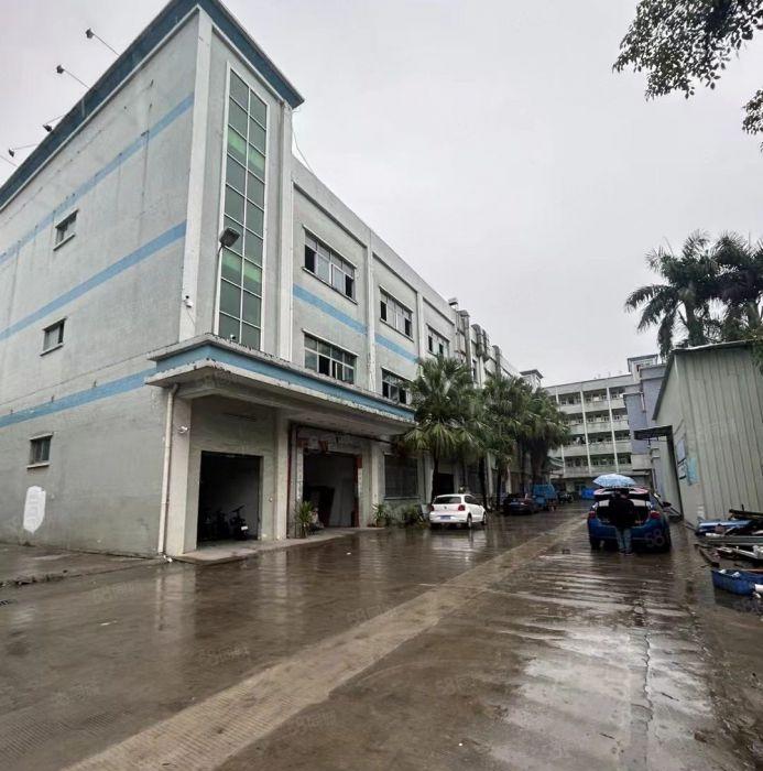 特价9.9元！塘厦田心标准3楼1500平厂房出租，实际面积！