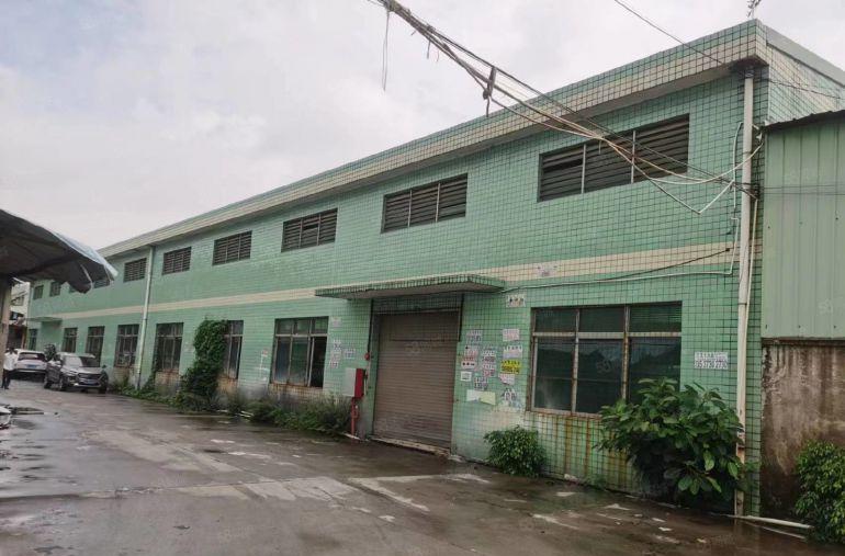 塘厦168工业区单一层钢构工业园独栋厂房分租1000平无柱子