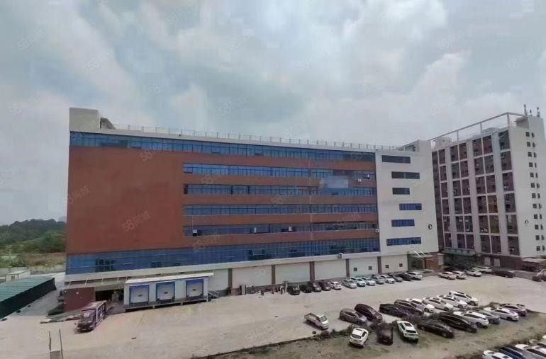 塘厦凤岗清溪交界处新出楼上5080平电商厂房仓库出租