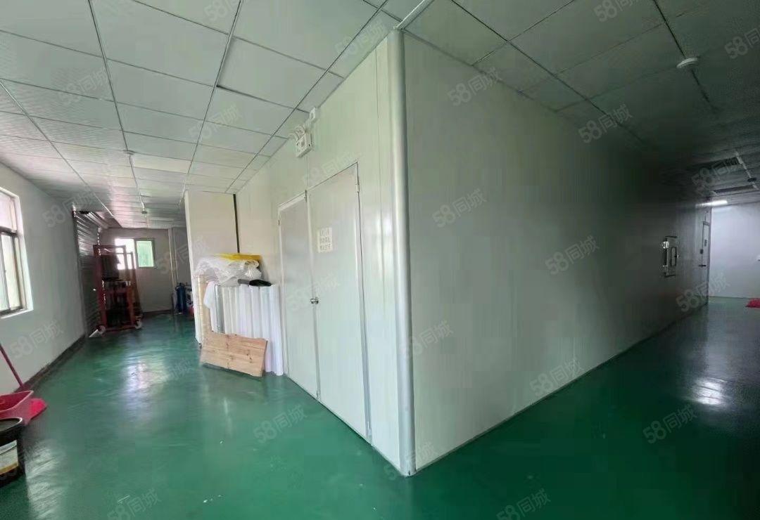 塘厦林村新出独院无尘车间厂房420平，价格优惠出租！