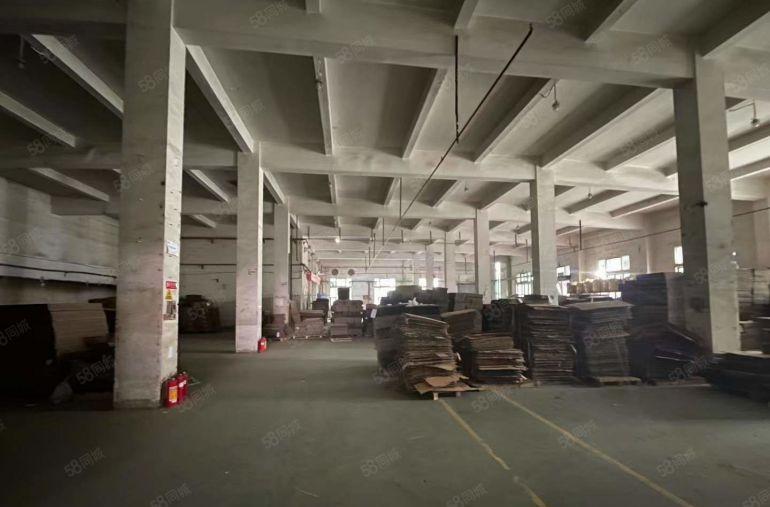 塘厦独栋单一层标准厂房仓库出租，空地超大带卸货平台 大小分租