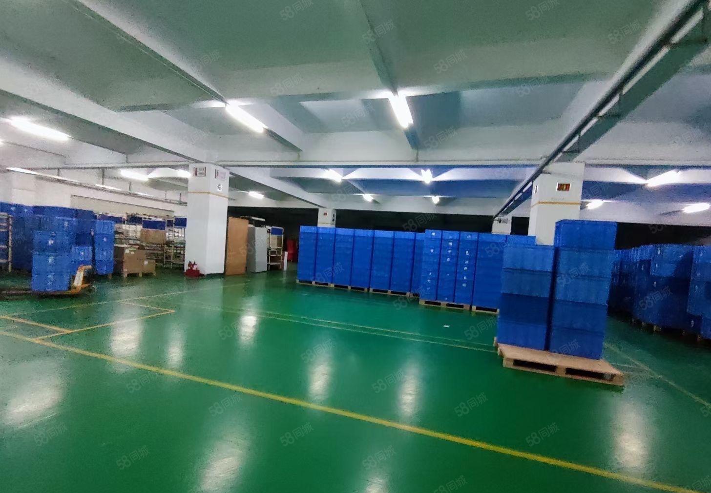 一手房东花园厂房可办环评实际面积出租空地超大靠近外环高速出口