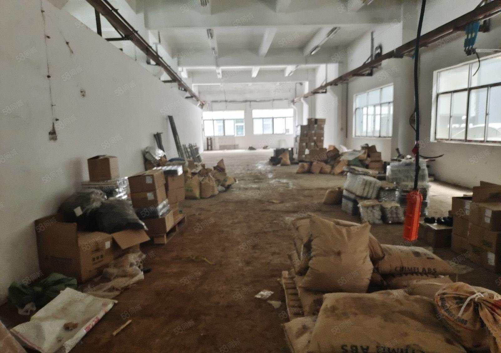 东莞塘厦镇横塘新出一楼厂房，面积是1200平方，高度有5米