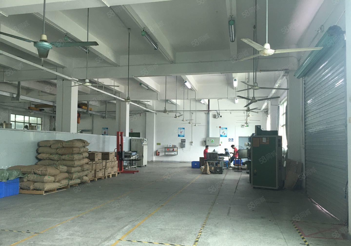 塘厦田心工业区原房东2百5百8百1千平一楼仓库厂房出租可分租