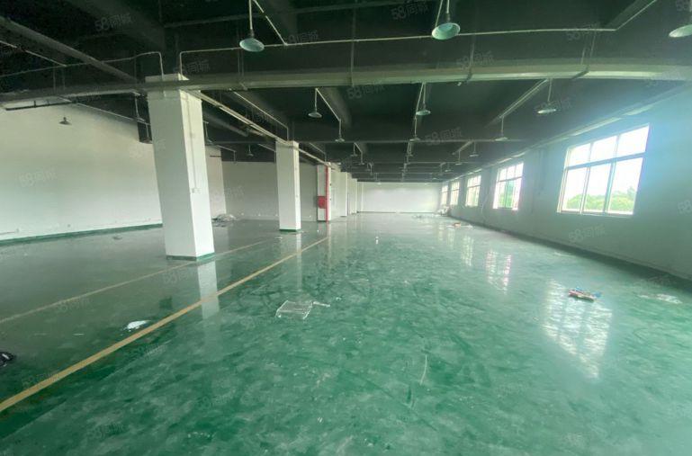 塘厦诸佛岭独院3楼1120平方！现成地坪漆办公室精装修