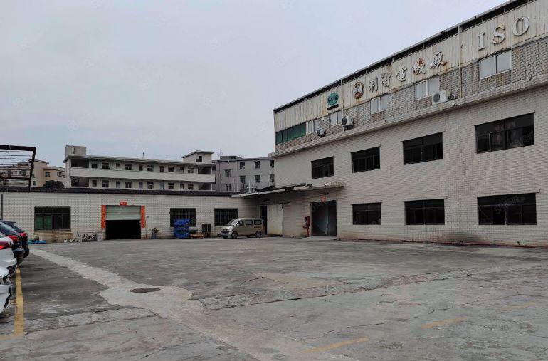 塘厦独院一二楼2000平标准厂房出租，1000平起分，近高速