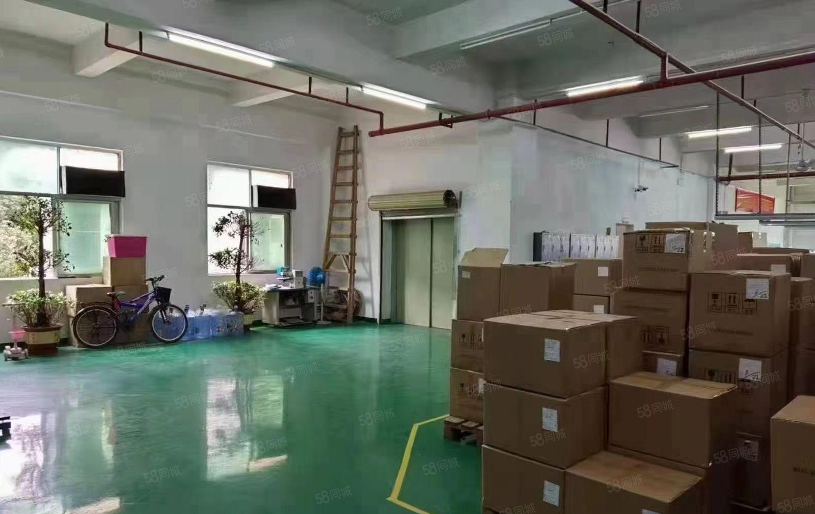 塘厦科苑城新出二楼1200平方，现成装修，水电齐全园区厂房