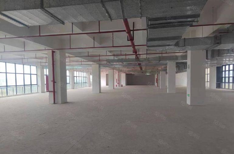 塘厦凤凰岗东深二路旁，原房东新建厂房2万平直招，可分租