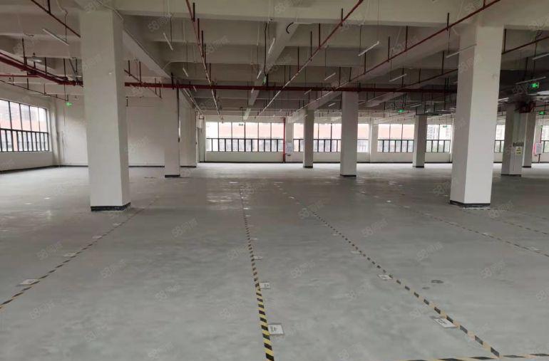 塘厦原房东0公摊独栋8000平单层2000空地大厂房仓库出租