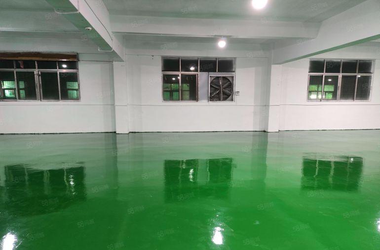 塘厦镇大坪村，原房东一楼1000平方，二楼1000平方