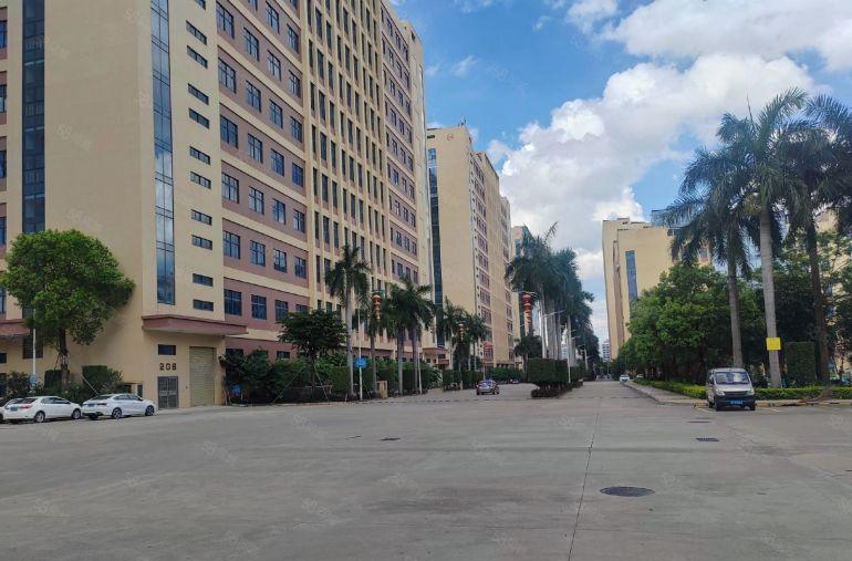 东莞塘厦全新红本厂房500平至50000平大小都可以分组