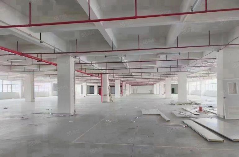 塘厦凤岗清溪交界处新出楼上5080平电商厂房仓库出租