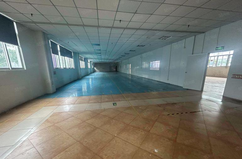 塘厦龙背岭原房东直租标准3楼1200平方！现成格局装修