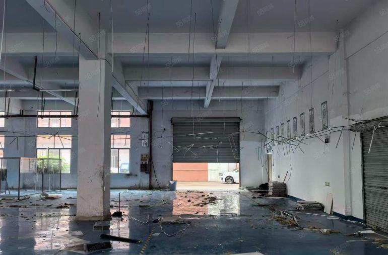 塘厦镇新出一楼6米高带地坪漆标准厂房1800平低价出租