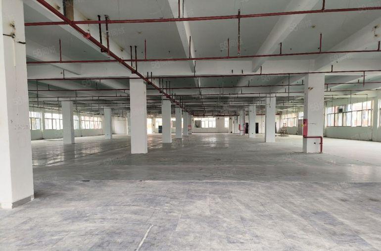 塘厦四村新出独栋厂房仓库出租12000平，园区形象高大上