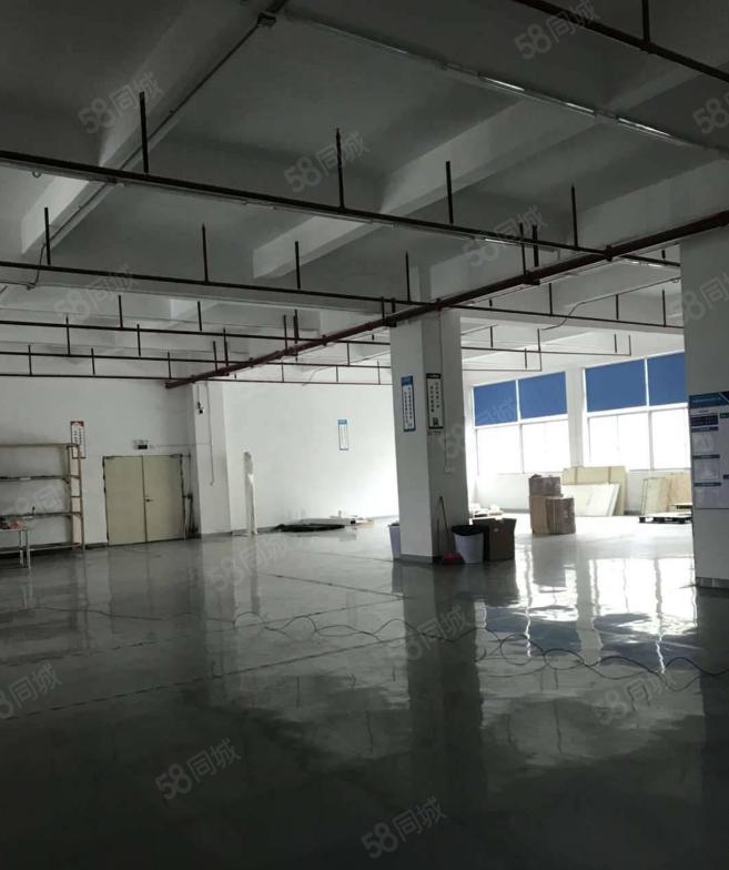 塘厦沙湖5000平经典小独院！现成装修配置火爆招租~