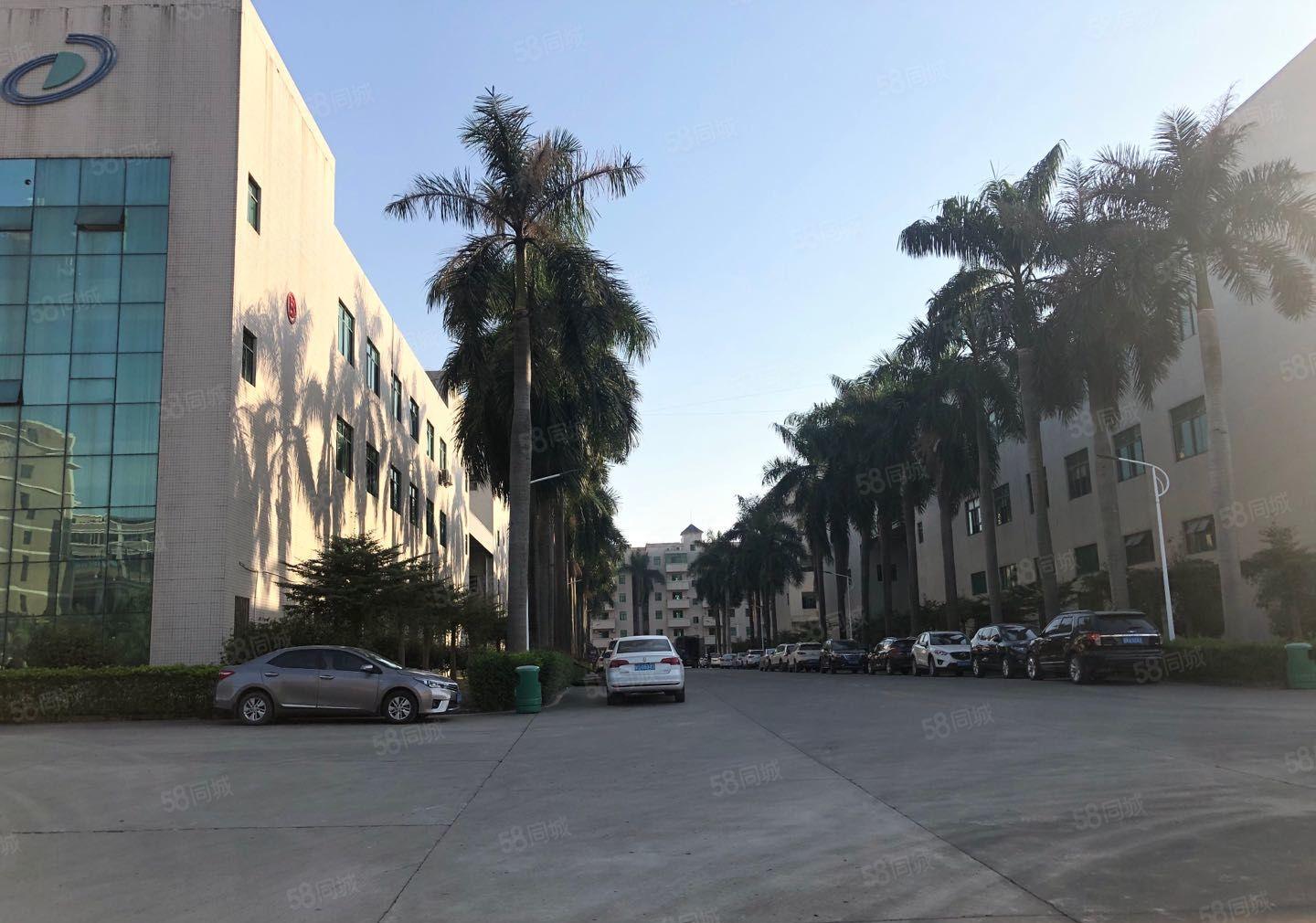 塘厦科苑城新出原房东红本独栋9000平厂房仓库出租，大小分租