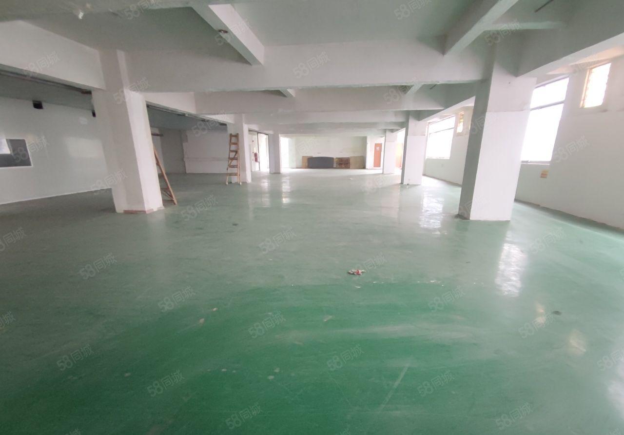 塘厦科苑城科技园楼上500平电子厂房带装修招租， 办公水电齐