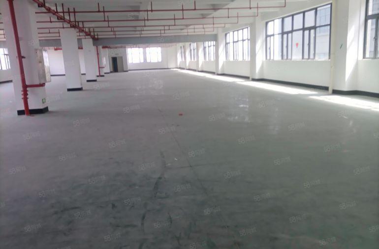 塘厦镇环市南路边全新红本工业园标准一楼和二楼以上厂房分层出租