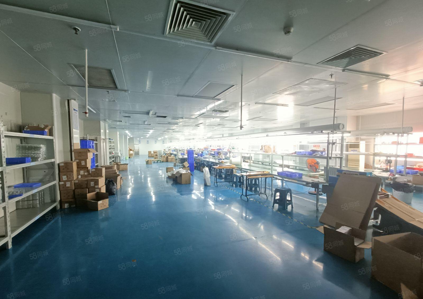 塘厦田心独院无尘车间厂房2000平分租，精装修无转让费出租