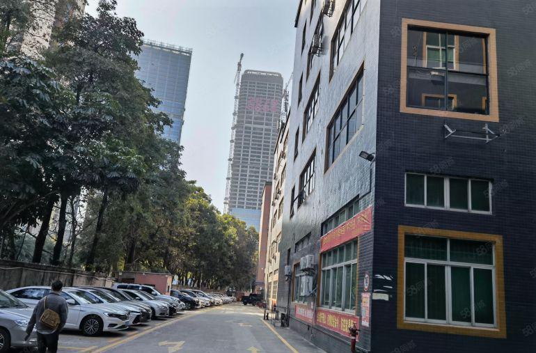 15元租塘厦大坪厂房出租花园式5000平方100平起租